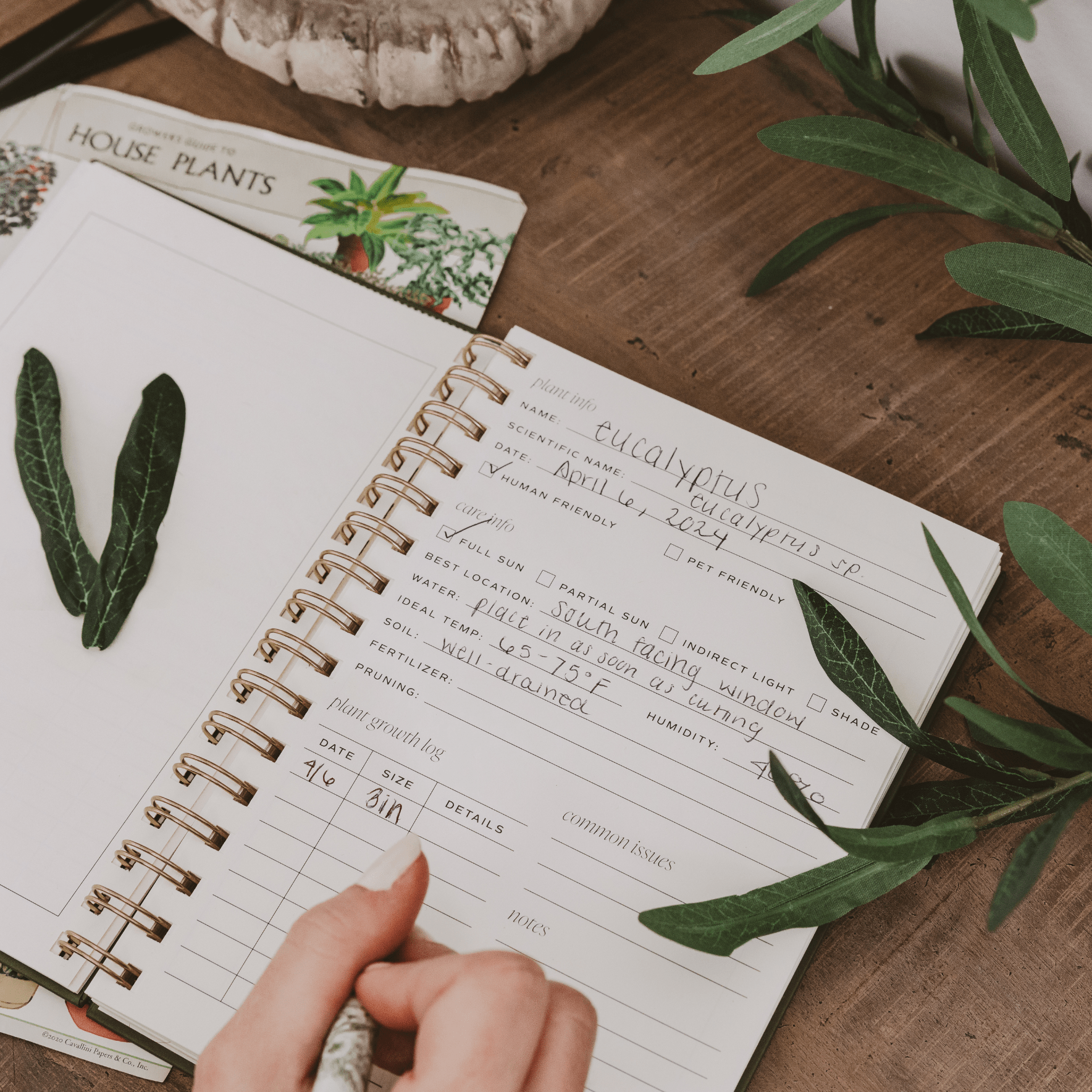 Indoor/Outdoor Plant Journal - HER Home Design Boutique